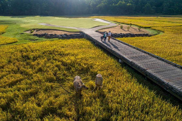 5D4N Da Nang GOLF TOUR (FULL BOARD-PRIVATE) - photo 9